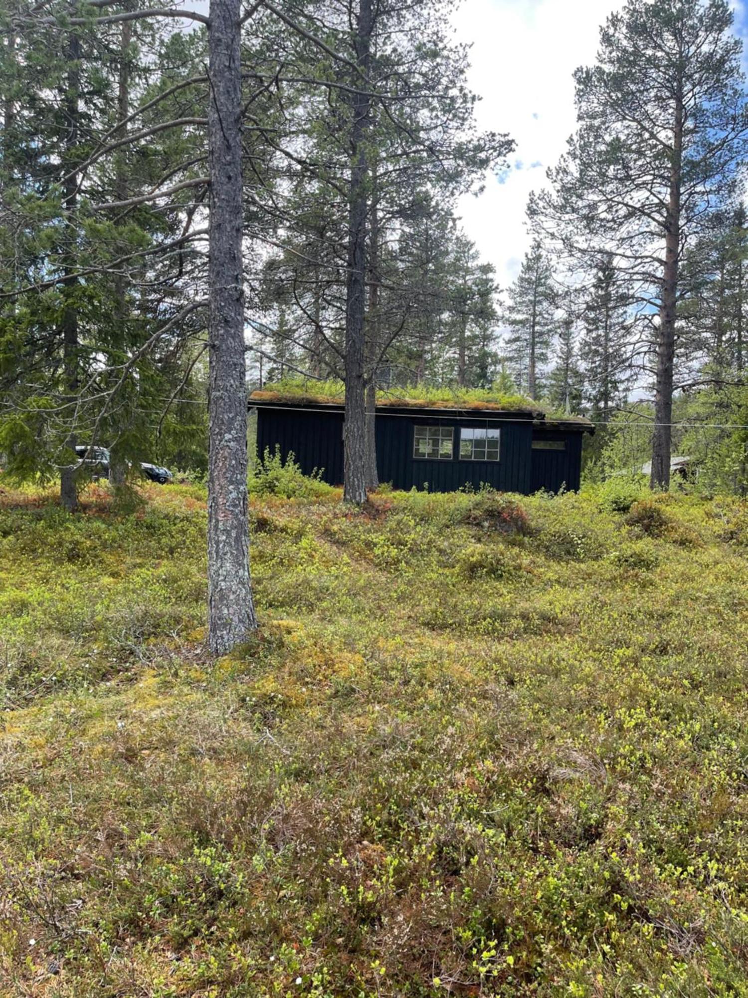 Villa Hytta Pa Oyfjell Extérieur photo