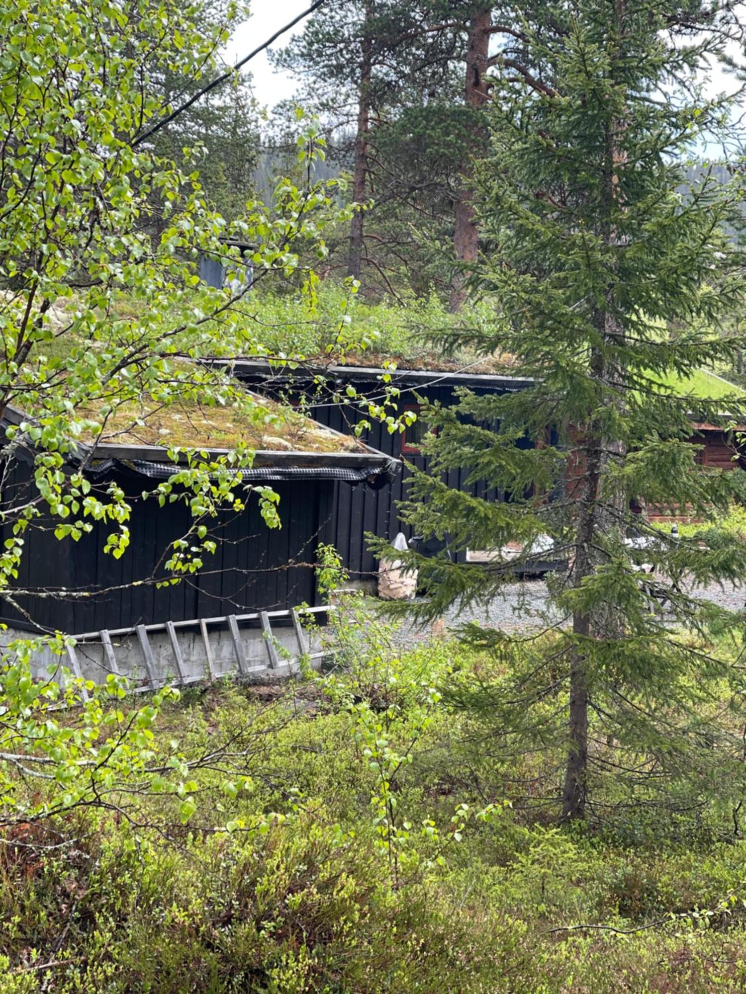 Villa Hytta Pa Oyfjell Extérieur photo