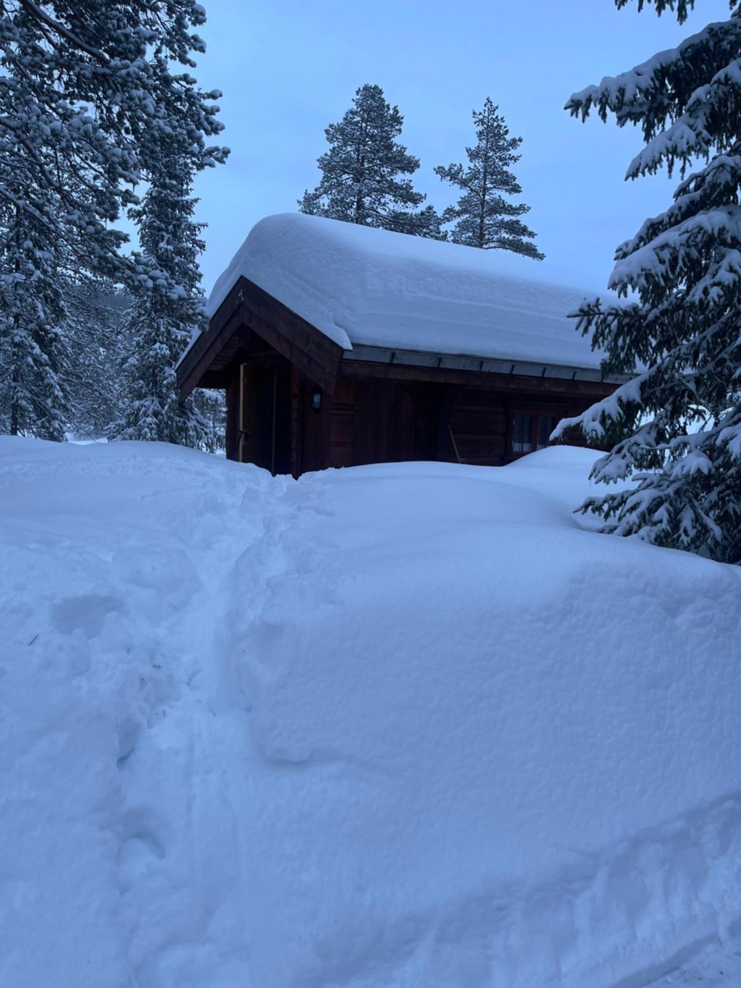 Villa Hytta Pa Oyfjell Extérieur photo