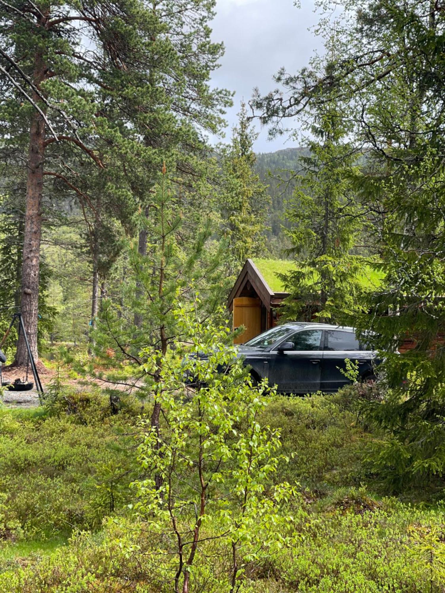 Villa Hytta Pa Oyfjell Extérieur photo
