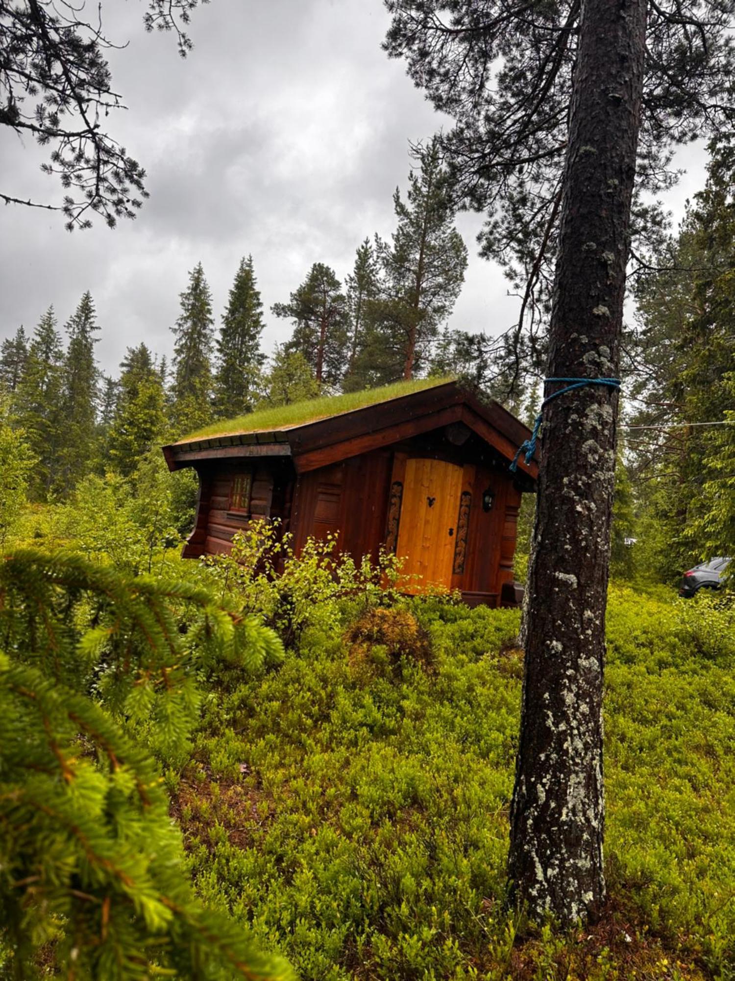 Villa Hytta Pa Oyfjell Extérieur photo