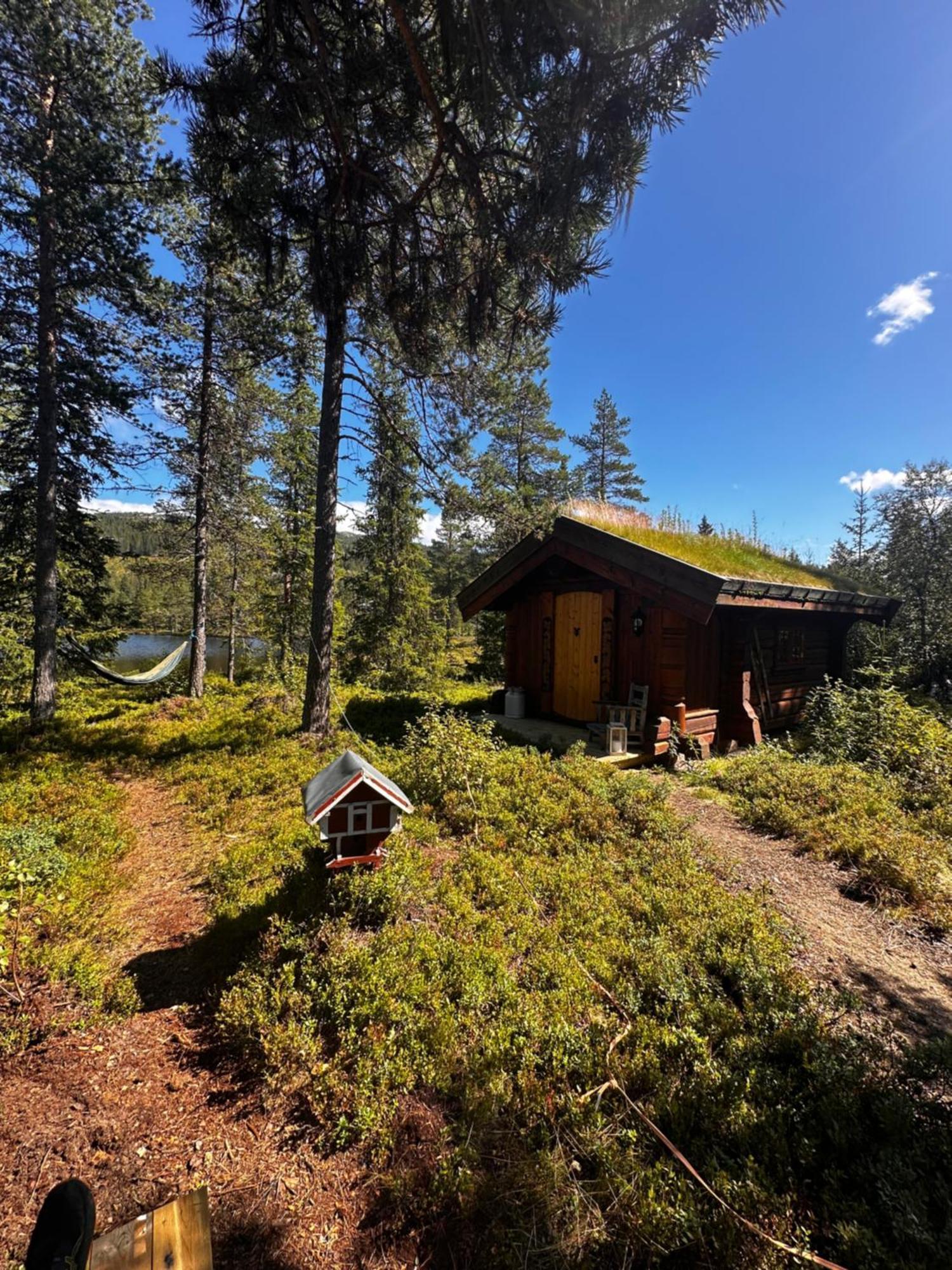 Villa Hytta Pa Oyfjell Extérieur photo
