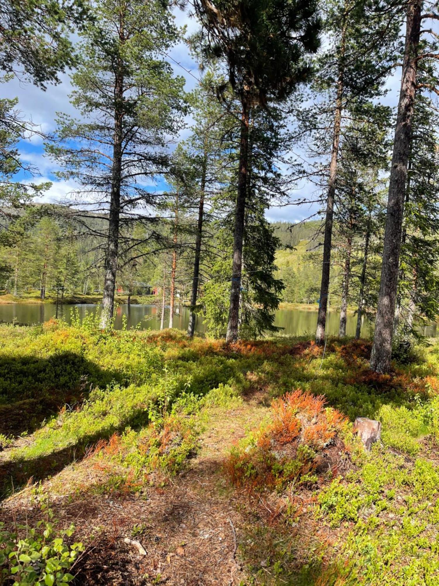 Villa Hytta Pa Oyfjell Extérieur photo