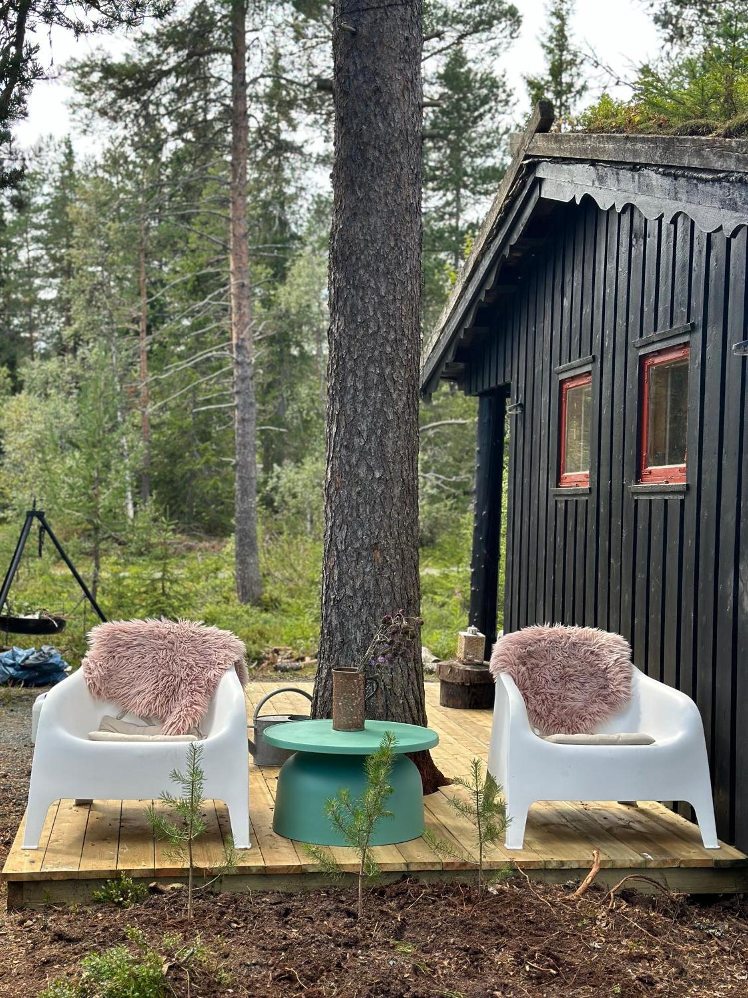 Villa Hytta Pa Oyfjell Extérieur photo