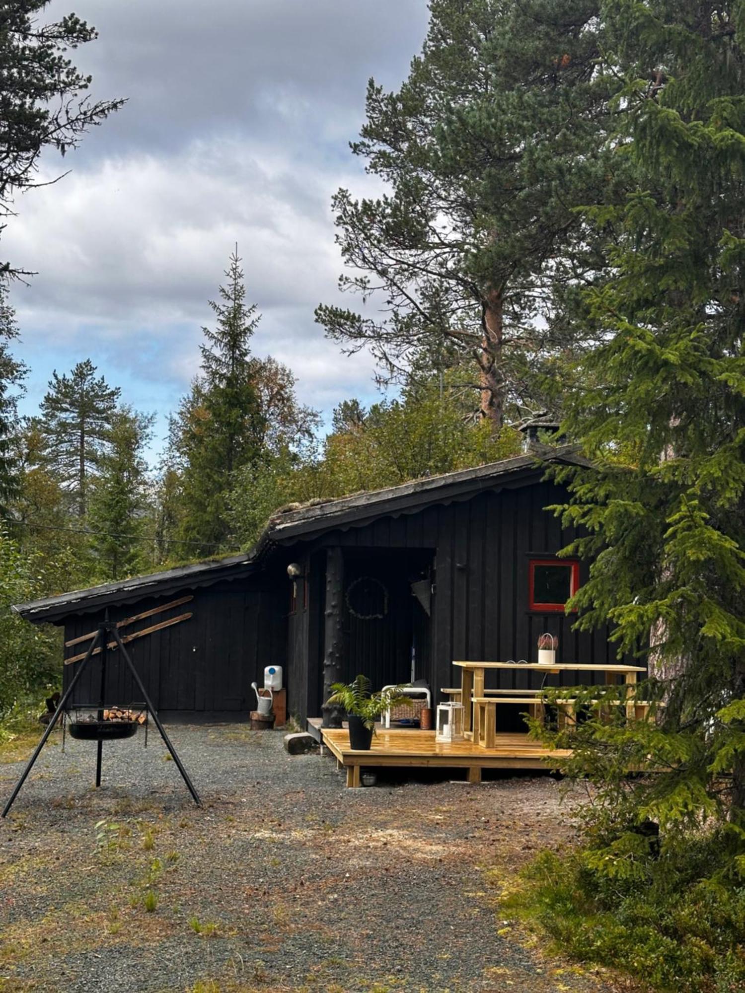 Villa Hytta Pa Oyfjell Extérieur photo