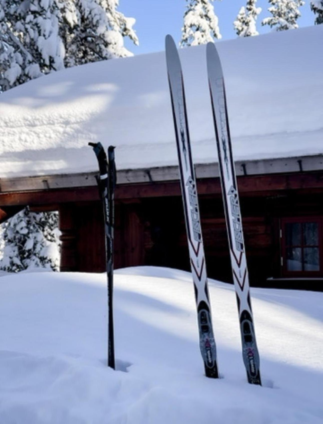 Villa Hytta Pa Oyfjell Extérieur photo
